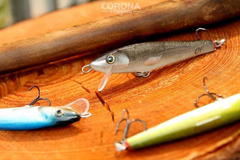 wobler sandacz boleń